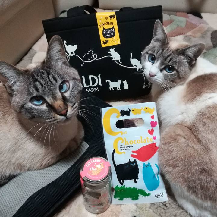 25752793 1d19 428b b2f3 ab246507af2d 1550831733540