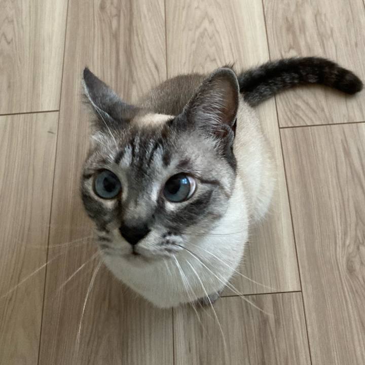 25754b52 a294 4abb 9385 e3b71c9aeeb1 1650865411510