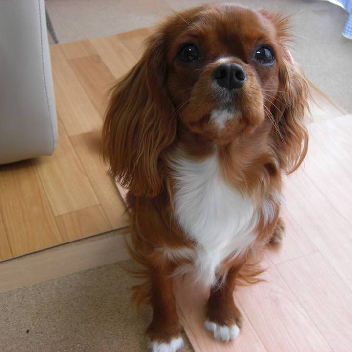 25754e09 7cb0 4914 bfde 1432cde1e493 1586956467469