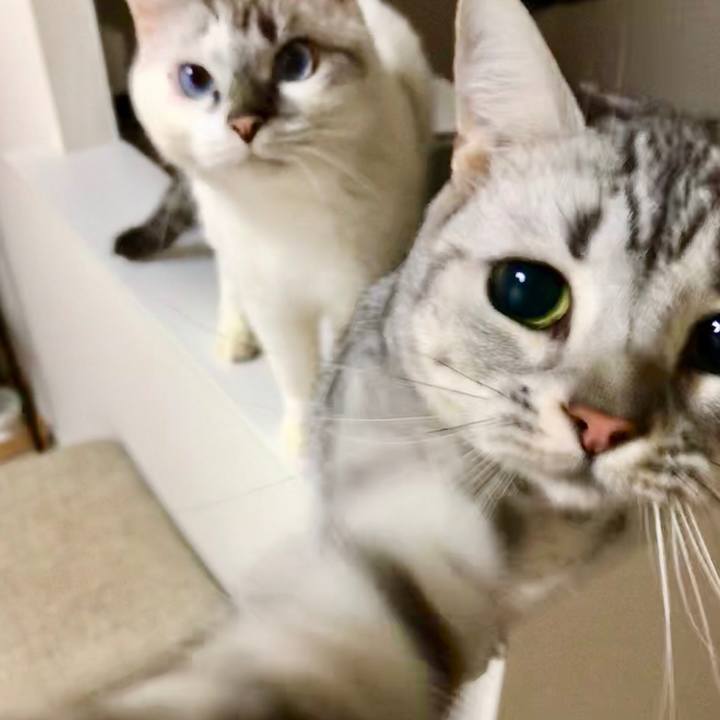 25756786 86a3 4ba4 b4a6 8283cebb9134 1542236563212