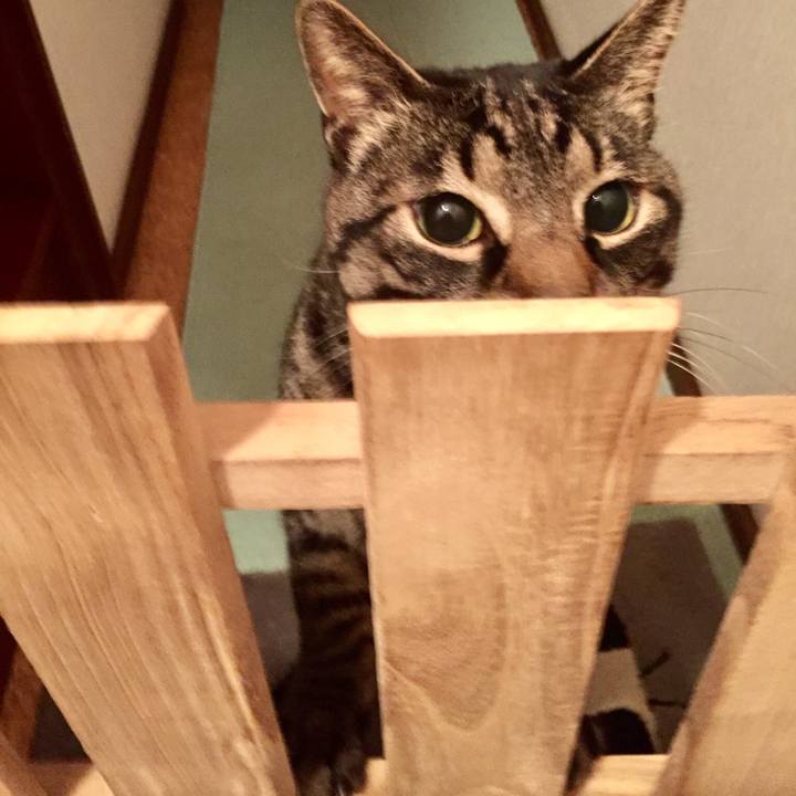 2575a5b3 d16f 4211 9e0b 516f4d93f143 1552053043261