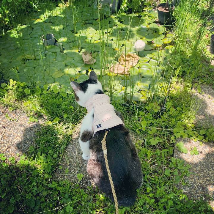 2575b89f 4ea0 46e6 83a8 4d5ffbb5d66c 1622541452218