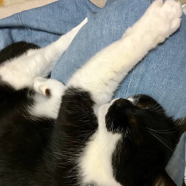 2575e494 113c 41e0 8ef1 b2ac4d0d9391 1555671967316