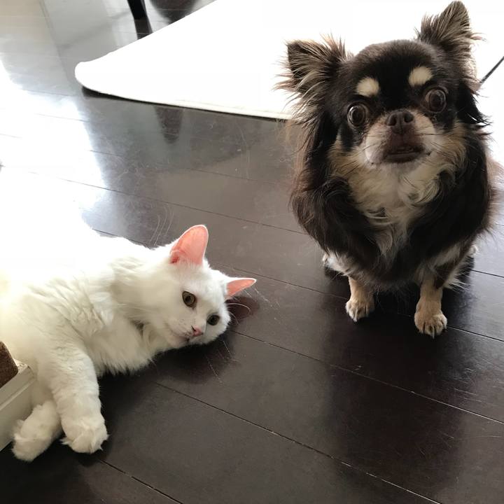 2575ebe5 ba06 4211 8e36 072e1c3f4cb4 1532490024859