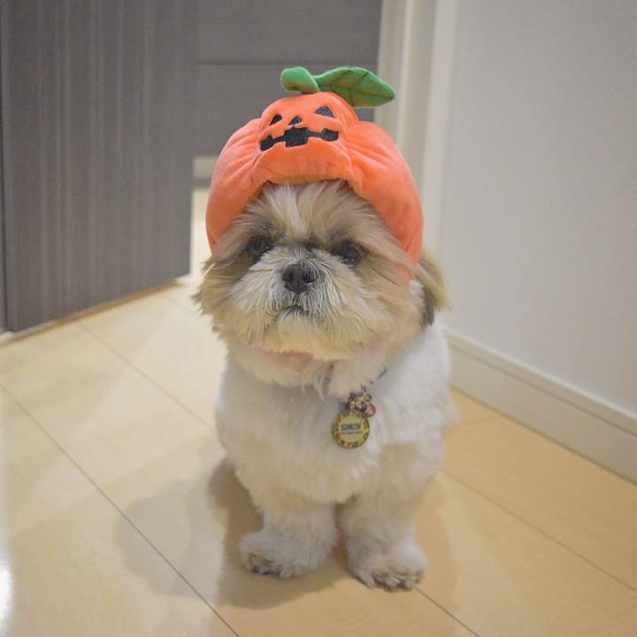 2575f6b5 3a3d 47cb aa76 dfe531e8cf27 1509450623239