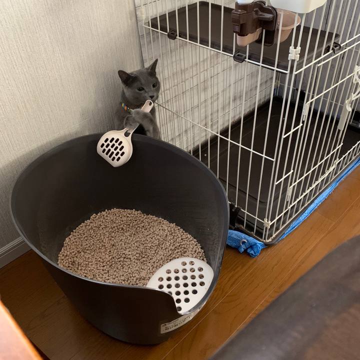 25760b92 492c 4e0a bcae c4c35916597e 1641607534059