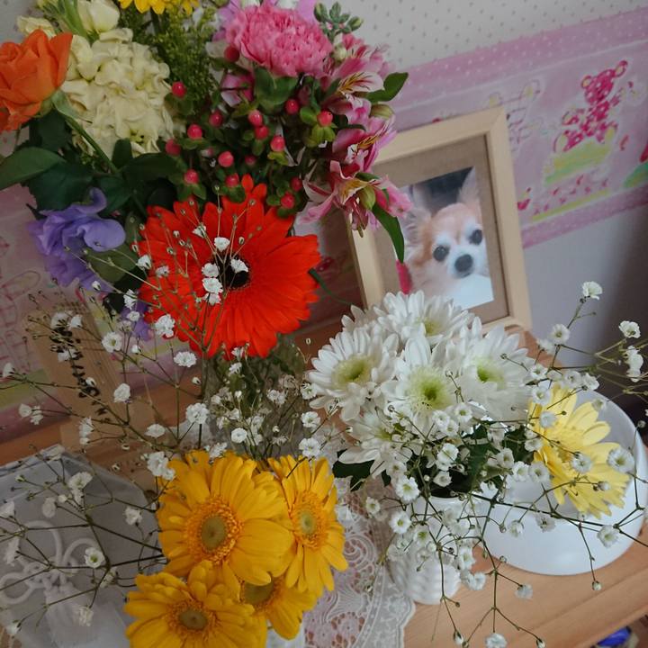 25766c19 b2fd 4020 a783 fb46d5868f0b 1553420731616