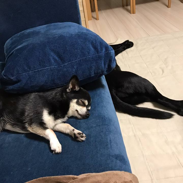 257677a3 8f85 4ca7 aa11 f8c78a78b564 1558440001860