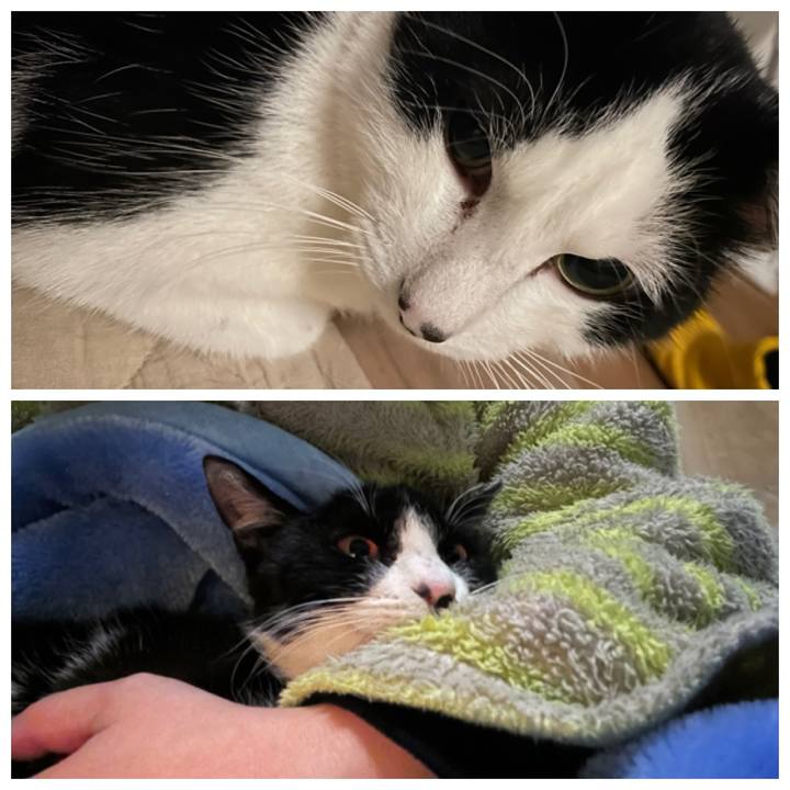 2576b2fc 1a97 433f b583 3b902b4c2271 1677267207344