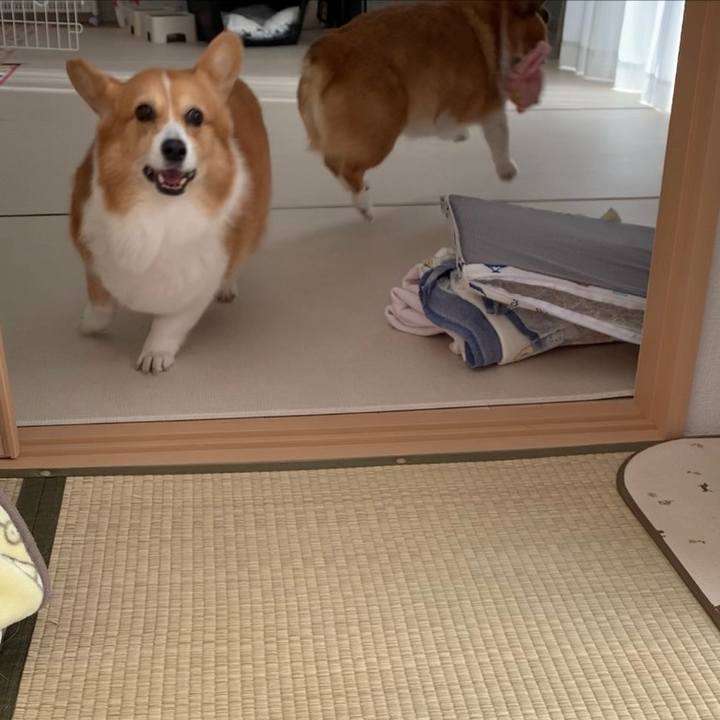 2576db3a 62c1 4495 83f8 4c599b2fa600 1667102361353