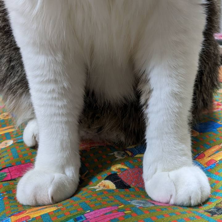 2576e26c bbe3 43b3 a2b0 73618af993d9 1704280186991