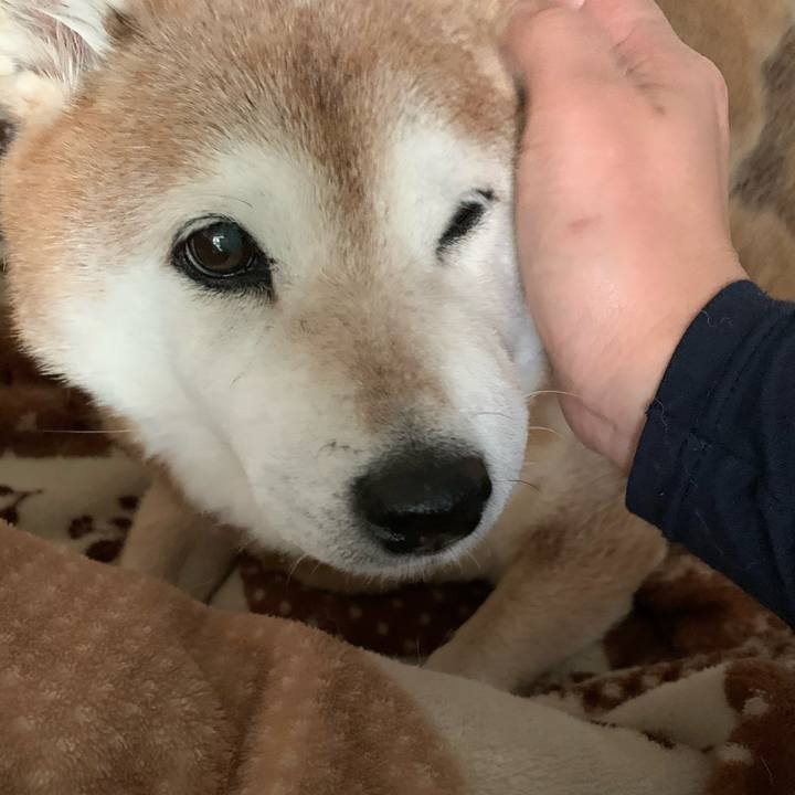 2576e487 6874 4535 a6ae 59c75cf7550a 1581433898532