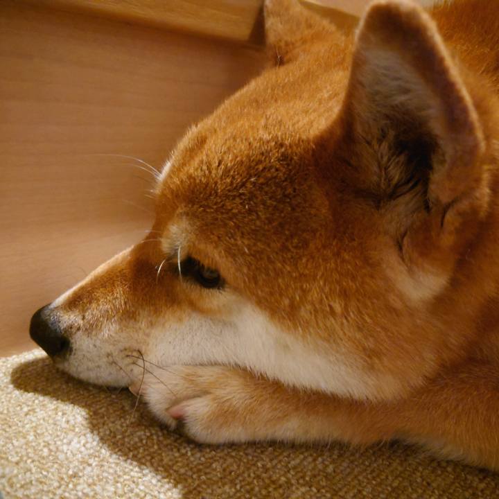 2576f542 9ffd 46e6 a283 03e4007021b2 1757043039548