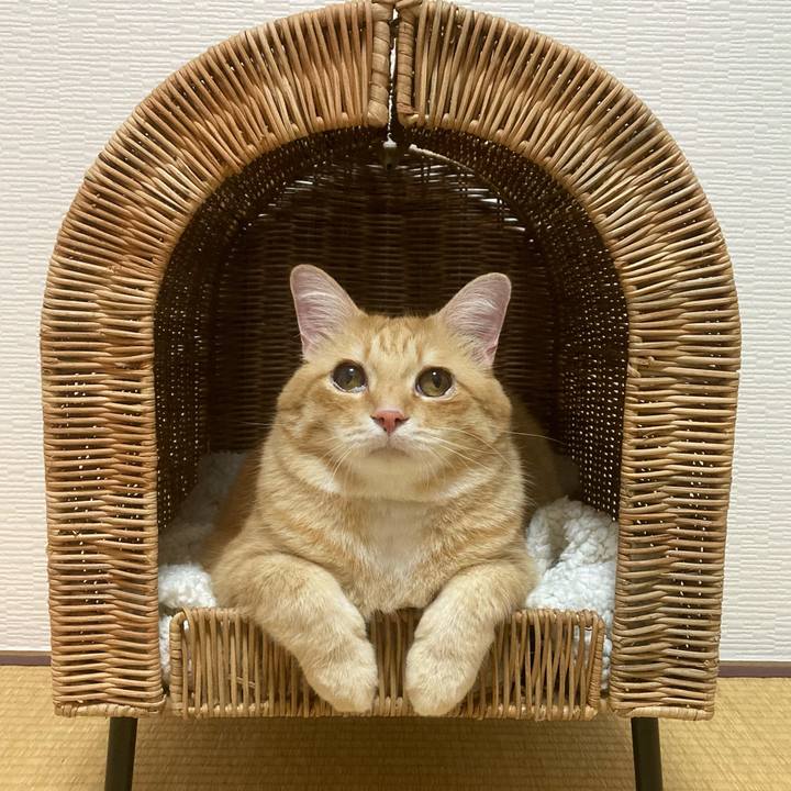 2577113c 6f7a 42a2 b168 21de02484267 1756213226722