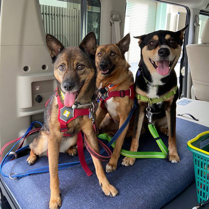 25771251 fc28 4615 a774 d30750e01941 1628324395193