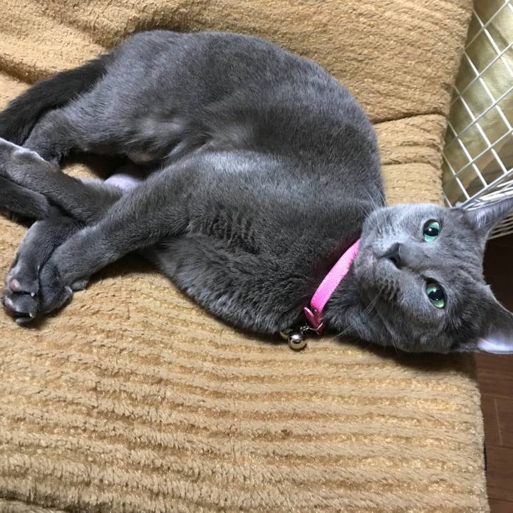 257739cd 4766 4820 a577 b0fccc9dcf64 1545621223676