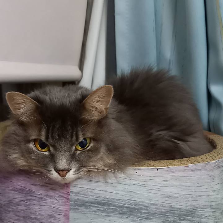 2577514d 7bd0 4119 b4b7 b4a7313844d4 1603593201336