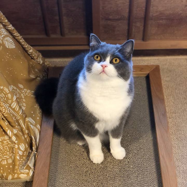 25775714 dc75 42cb aa6a 8569ec88c347 1573614417358