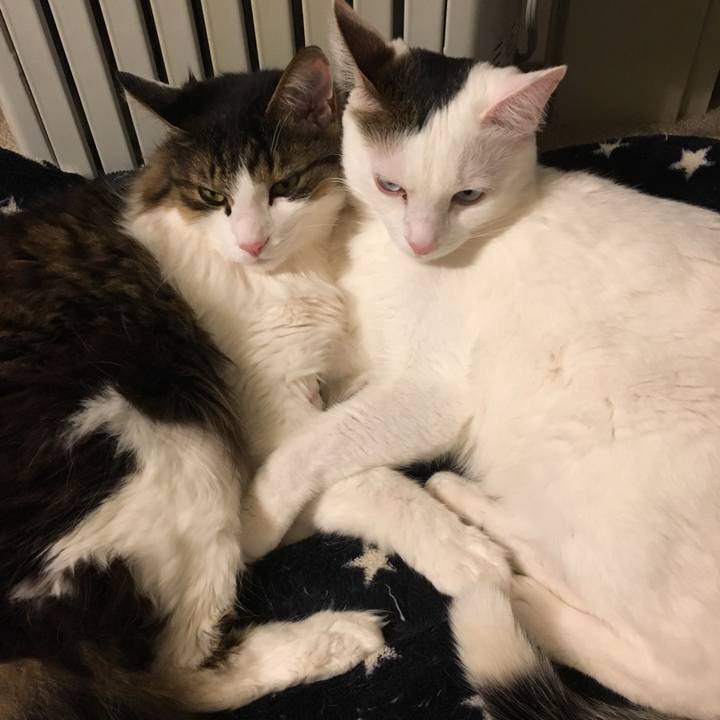 25777c04 0741 415c a72f 9d817e3b4df4 1557407960731