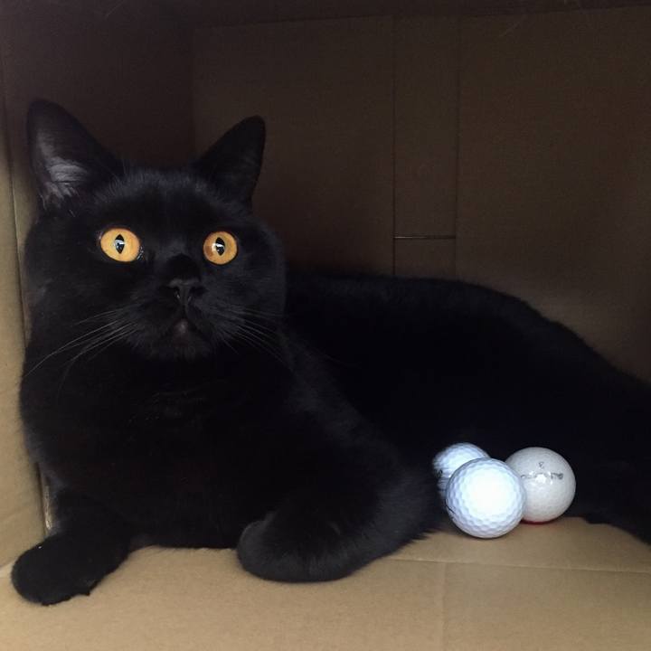 25780879 fb3c 4414 b130 28000bbd6b67 1524836124683