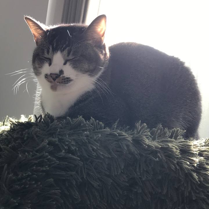 25784028 1cad 432b a396 6ad5ff1f25f0 1511414380469