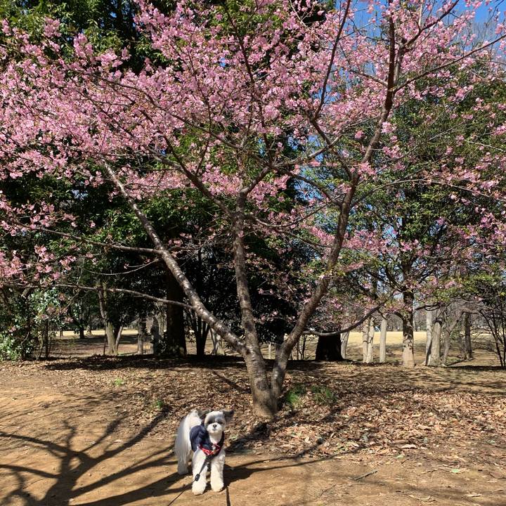 25787403 ebc4 4c20 80bb 24821d577120 1614297178582