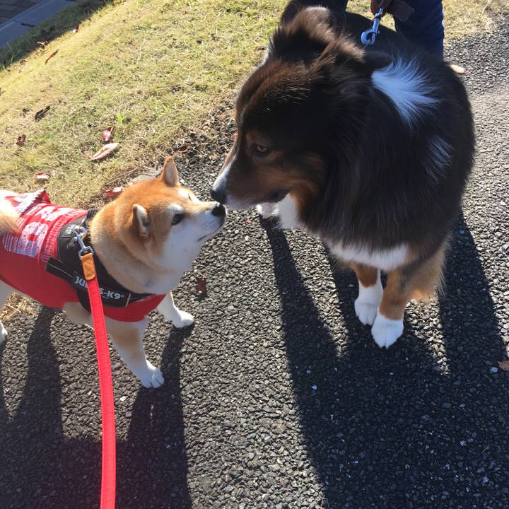 25787b05 1047 4f59 a19e f958806a521b 1574998287230