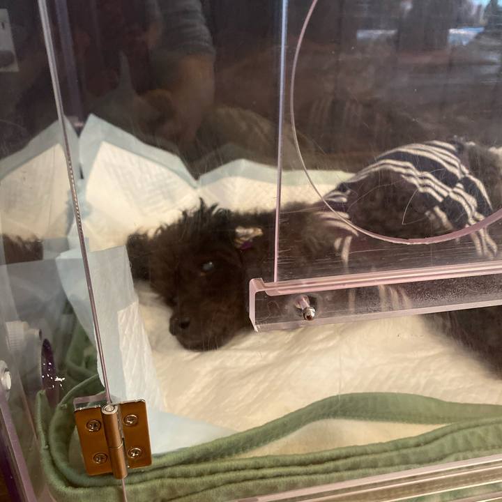 25787bb0 622e 4ee9 9be8 b5390a598784 1602469611159