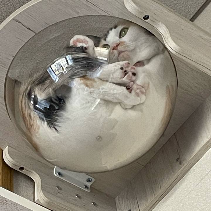 257884d7 ed9a 45c7 99e0 6ed8294244c9 1739421399363