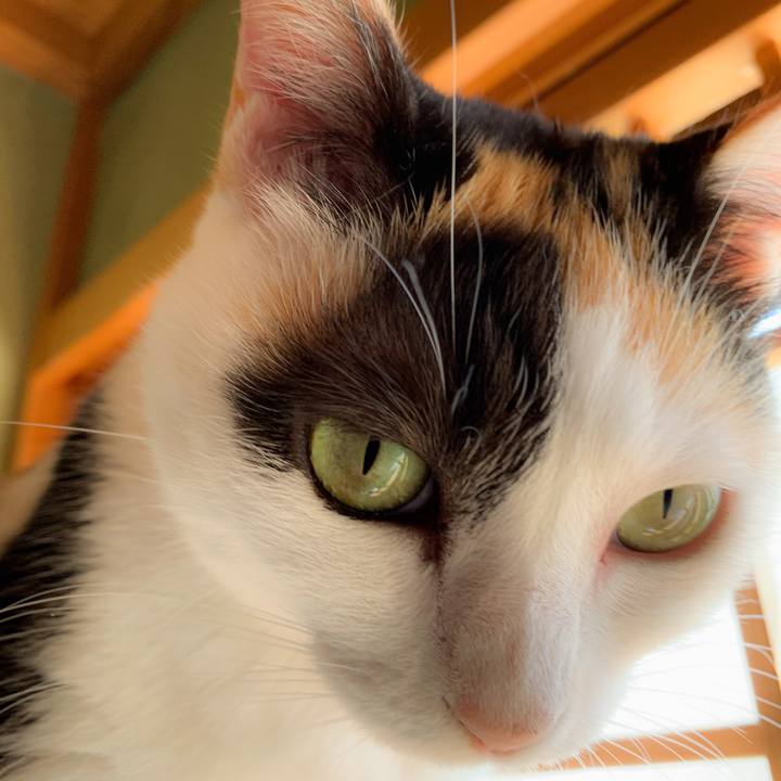 25788cc4 3d71 4f20 92a7 ec31dc5eacf1 1566006105643