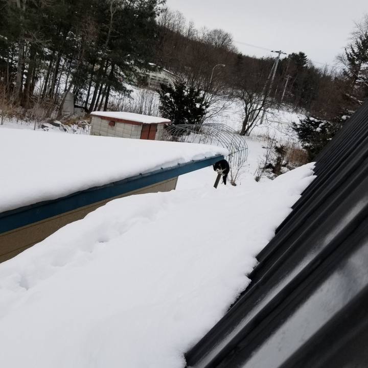 25788d00 6b5a 4ff5 b5f9 166758d42db6 1610000897158