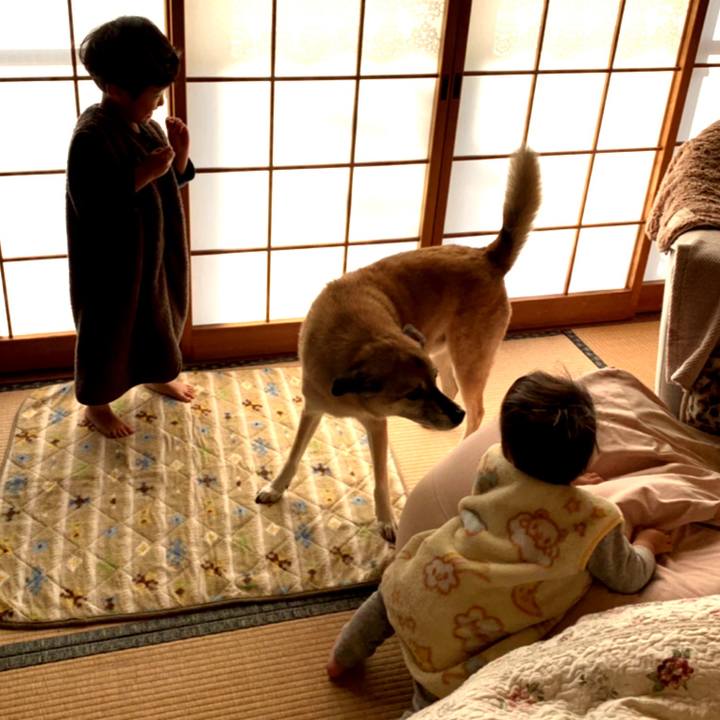 257917cd 84dd 4356 b331 7bfe2766be25 1575248526273