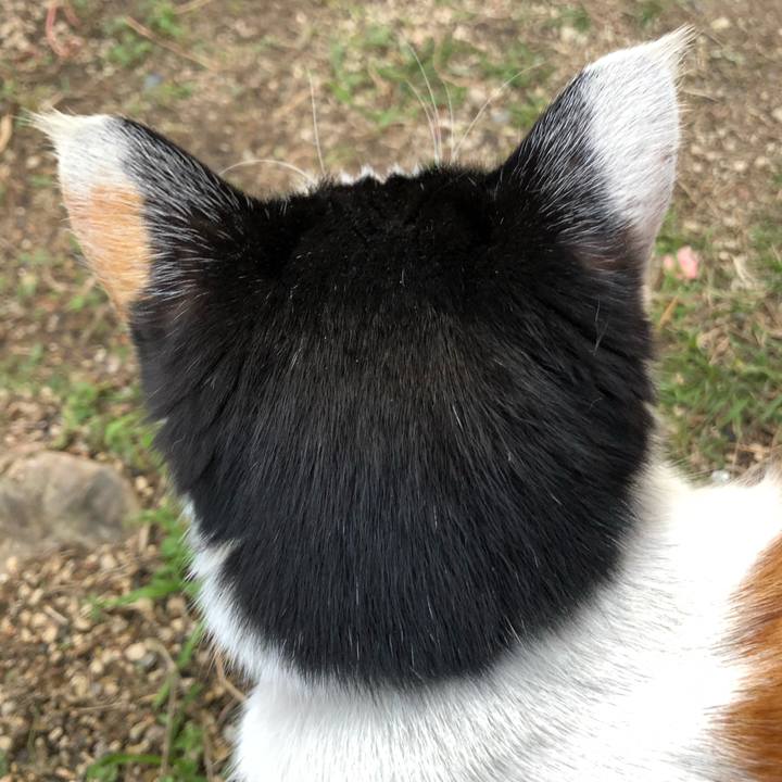 25792eb4 b649 4b50 8511 af88d1372ce0 1645743337807