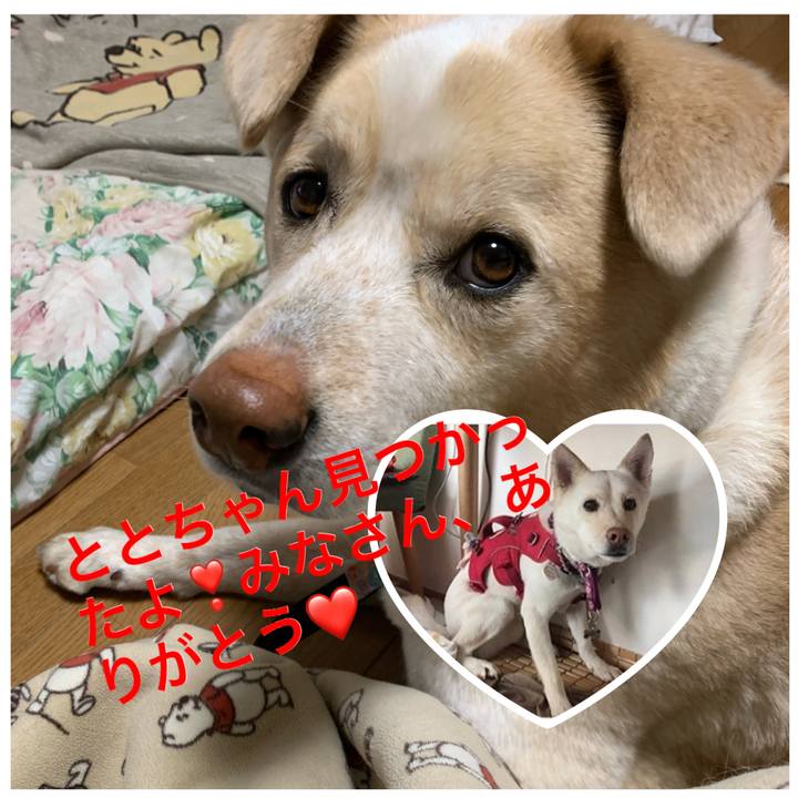 25794c36 c76f 4e48 b0ab 3549f4f9bcf7 1585474066437