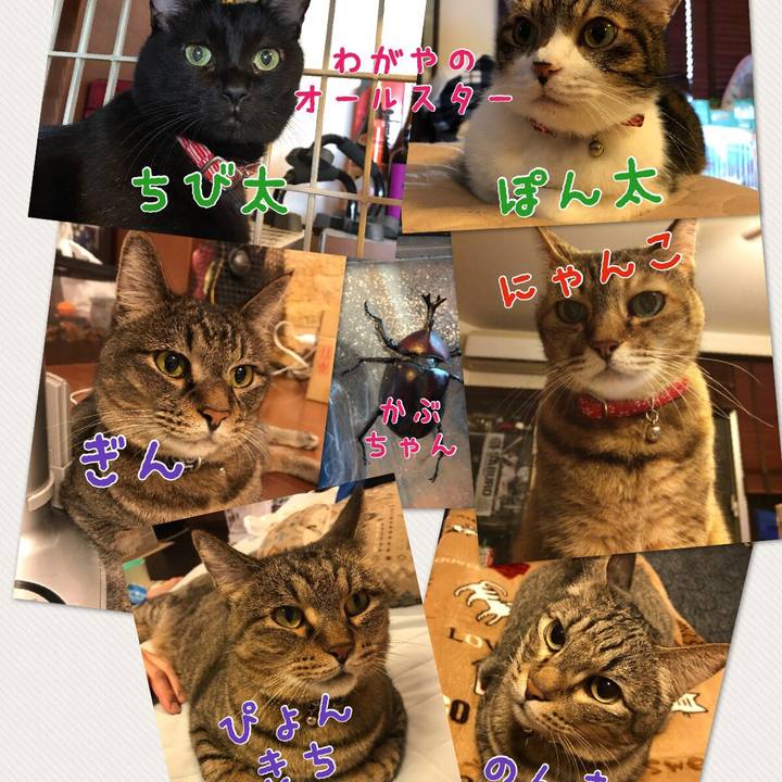 257967f9 0503 4176 9a0c 5eacc7795320 1509262650930