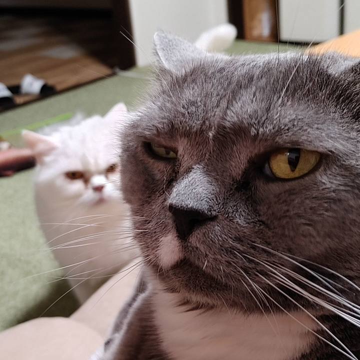 25797089 ef65 4bc9 93cc 909ce4a0fa2e 1714901215987