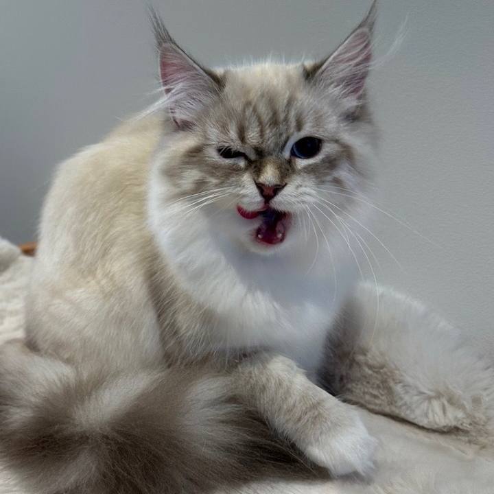 2579790a 87a9 4dbf 9255 35b889df58af 1674476922493