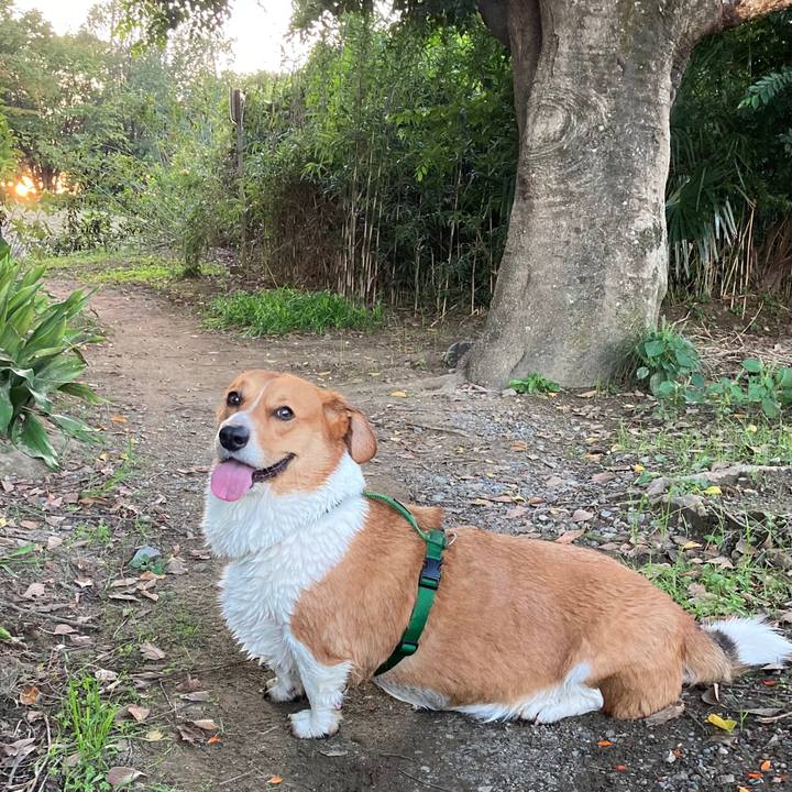 25798c9d b4e1 4900 9f75 1e6d13dbe67a 1697188604303