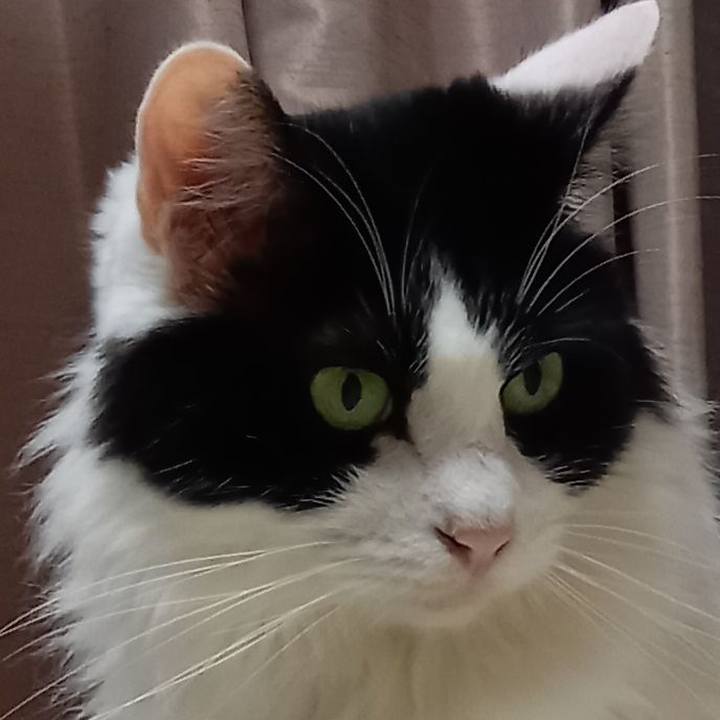 2579da38 6945 4f2d ba3b f90bfb4c16c8 1628291390626