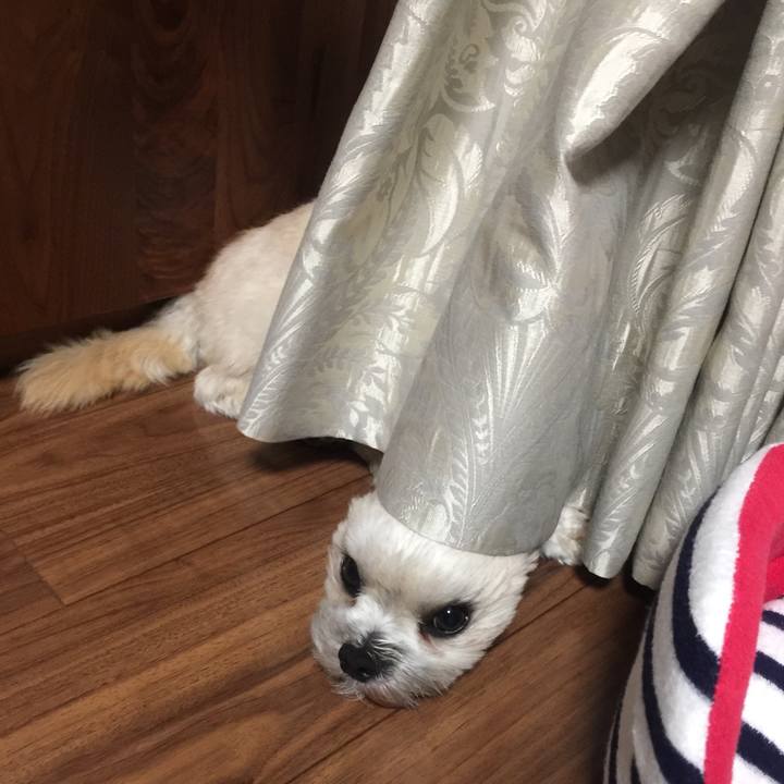 257a400f 829d 40ed 8d99 3e8ad37c767f 1527593947582