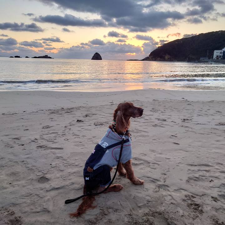 257a5c5b 542a 46d6 9f97 1908cd8941d4 1609628046084