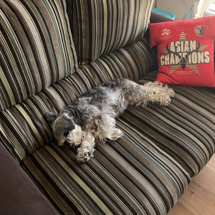 257a7892 2e23 489a a4be 7a03acf07e9f 1589424191876