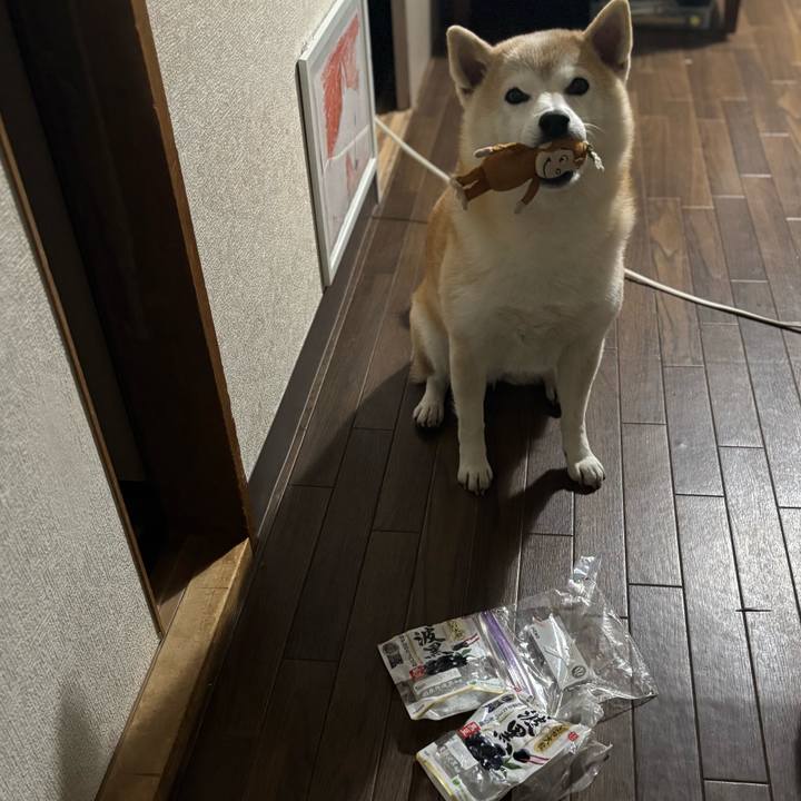 257a83ae 31f6 4cda 8eb3 1a3c09b671d2 1738884428124