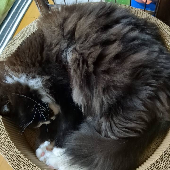 257ad21d 309b 4c53 b4fd a156347b52e9 1681037708446