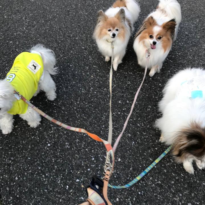 257afc30 d3d5 4a99 9565 d3bc6cd44bcf 1679918143510