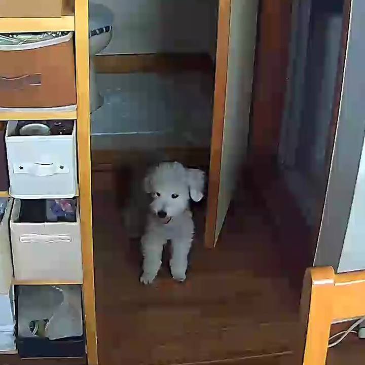 257b2ef9 2c8c 48d4 b28b dcde49ee6db2 1629249253870