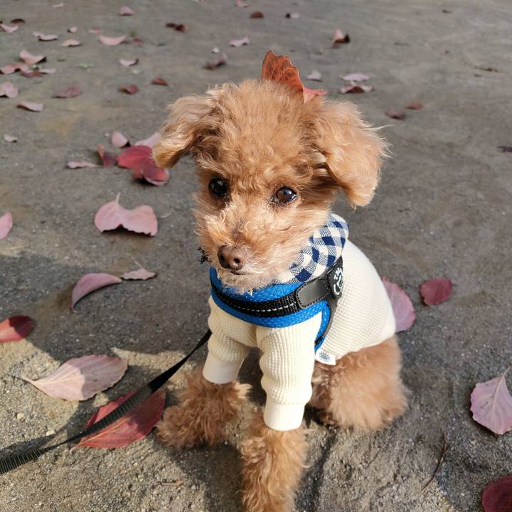 257b4984 9ce0 4819 89cd 4700e3511aae 1637374646909