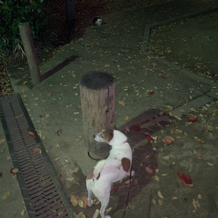 257b5896 2359 4a98 8b52 c50bf059d160 1541847439434