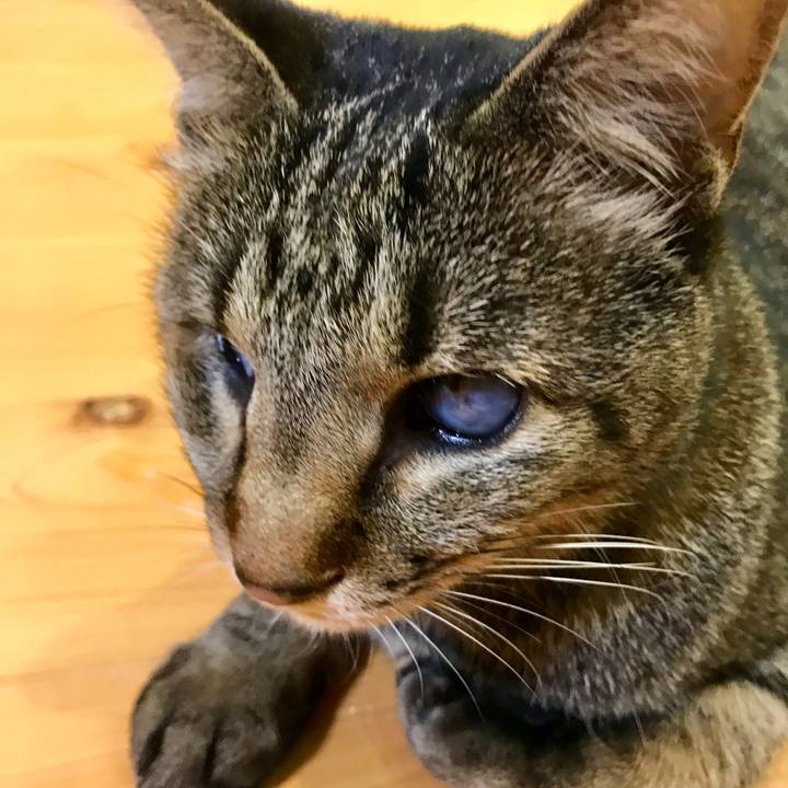 257bb162 b7e1 499a b2b2 1e2a4cf5e061 1552961363987