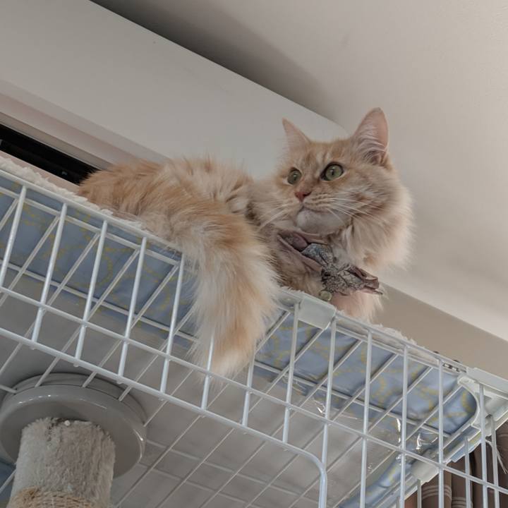 257bc32e da1a 4ae7 8987 f1d66b514d18 1740049260274